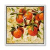 Tutti Frutti framed on bg low 22×22